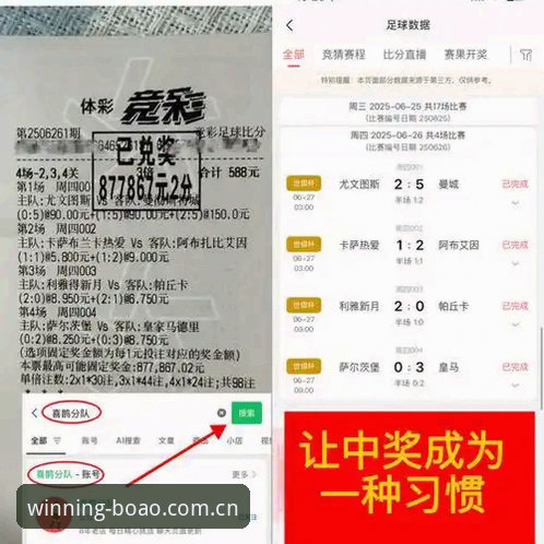 博澳体育平台安装失败排查完整指南：v2.4.0版本实操详解